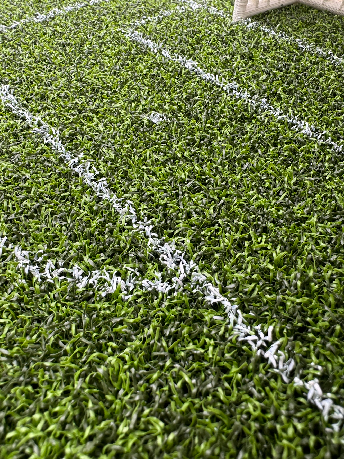 wondergol pitch